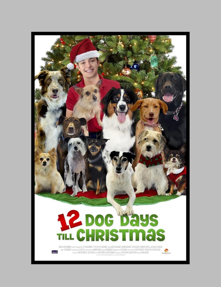12 Dog Days Till Christmas 2014 Dual Audio Hindi Movie 480p HDTV x264 300MB ESubs