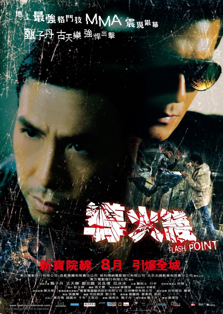 Flash Point 2007 Dual Audio Hindi Movie 480p BluRay x264 300MB ESubs