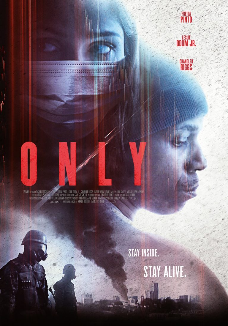 Only 2019 Dual Audio Hindi Movie 480p WEB-DL x264 300MB ESubs