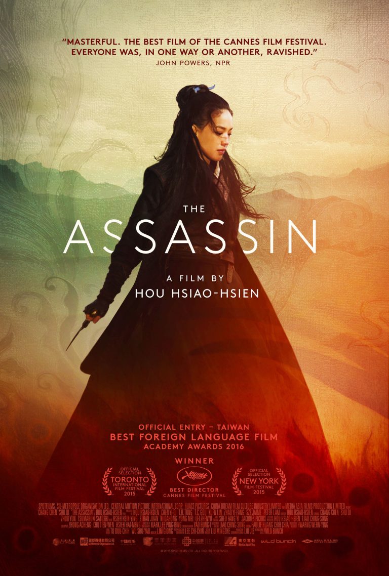 The Assassin 2015 Dual Audio Hindi Movie 480p BluRay x264 350MB ESubs