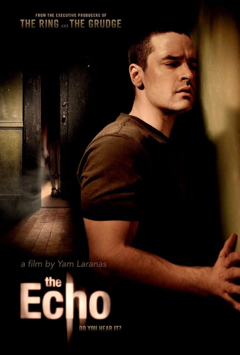 The Echo 2008 Dual Audio Hindi Movie 480p BluRay x264 300MB ESubs