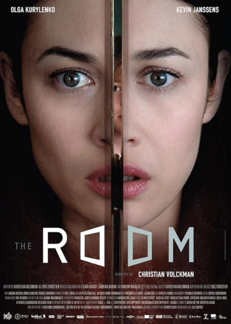 The Room 2019 Dual Audio Hindi Movie 480p BluRay x264 300MB ESubs