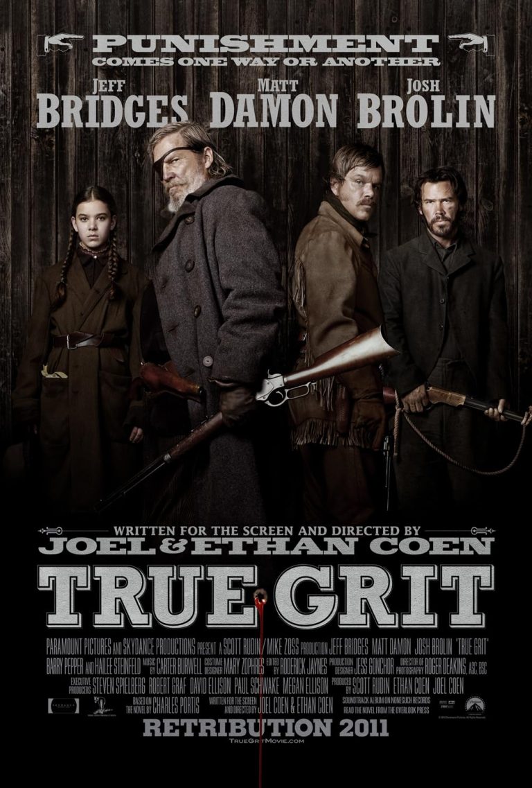 True Grit 2010 Dual Audio ORG Hindi Movie 480p BluRay x264 350MB MSubs